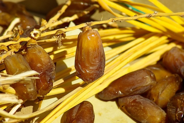Kurma